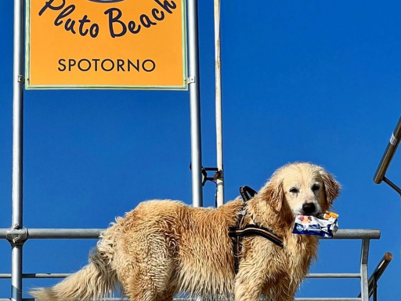 Pluto Beach - Spotorno Sv